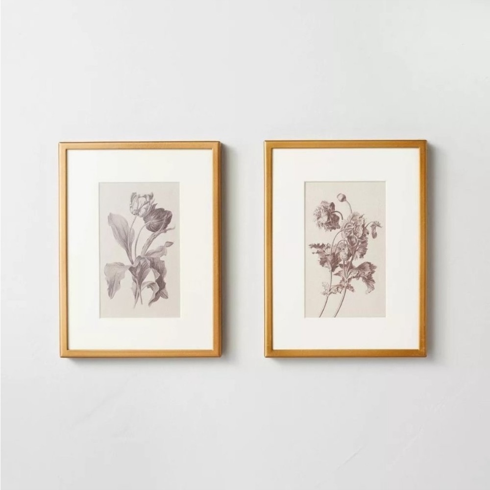 Hearth & Hand Magnolia 6x8 Floral Sketch Framed Wall Art Cream/Gray (Set…